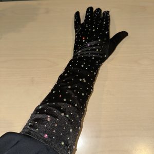 Black Satin Iridescent Stone Long Gloves
